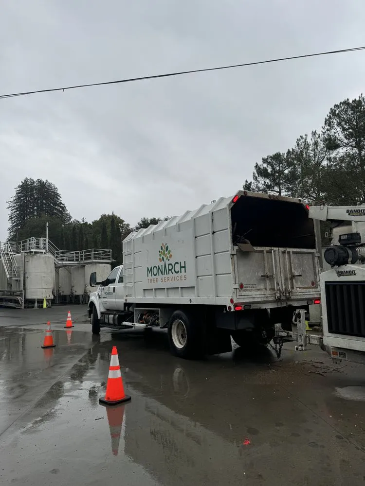 Local outdoor landscaping in Santa Rosa, CA by Monarch Tree Services