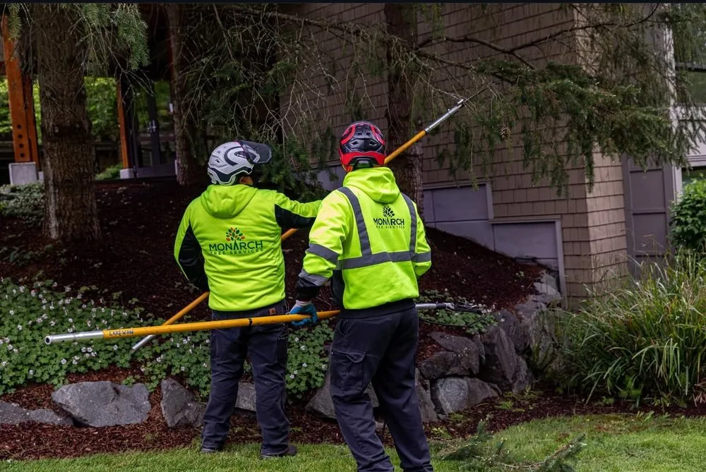 Reliable garden landscaping in Santa Rosa, CA - Monarch Tree Services