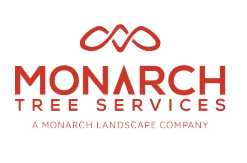 Expert yard maintenance in Santa Rosa, CA - Monarch Tree Services