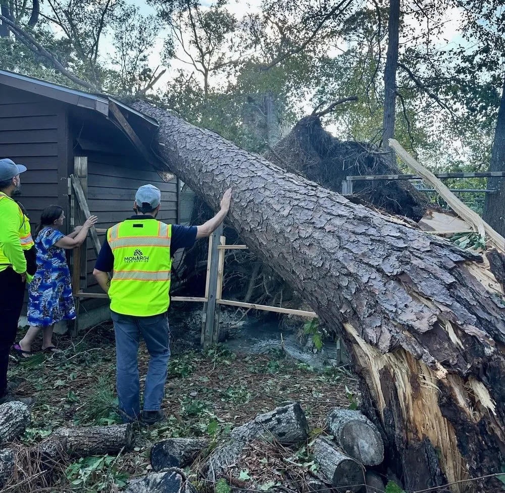 Affordable yard maintenance near you in Santa Rosa, CA by Monarch Tree Services