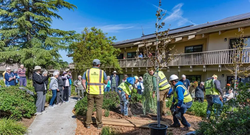 Expert landscape design near you across Santa Rosa, CA - Monarch Tree Services