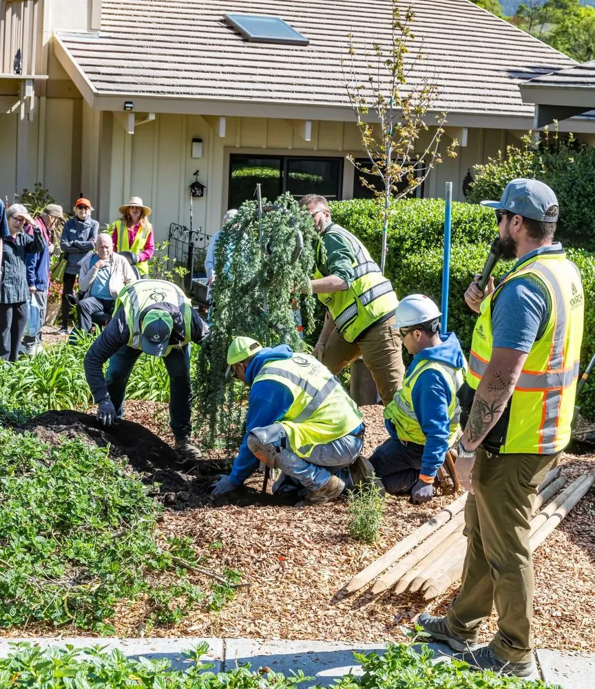 Local garden landscaping for beautiful yards across Santa Rosa, CA - Monarch Tree Services