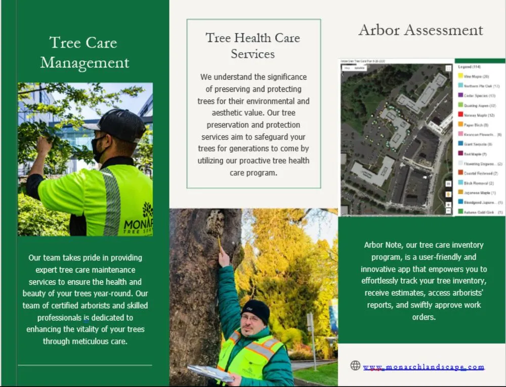 Expert yard cleanup service in Santa Rosa, CA by Monarch Tree Services