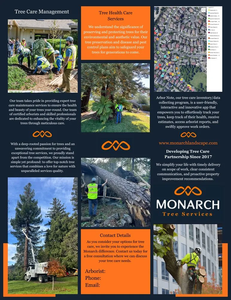 Affordable lawn mowing service for residential properties across Santa Rosa, CA - Monarch Tree Services