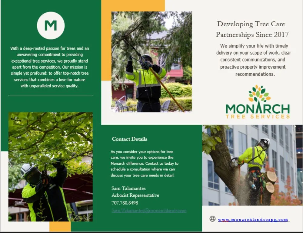 Professional garden landscaping in Santa Rosa, CA - Monarch Tree Services