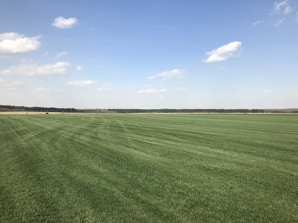 Trusted yard cleanup service for residential properties in Tulsa, OK by Monarch Turf