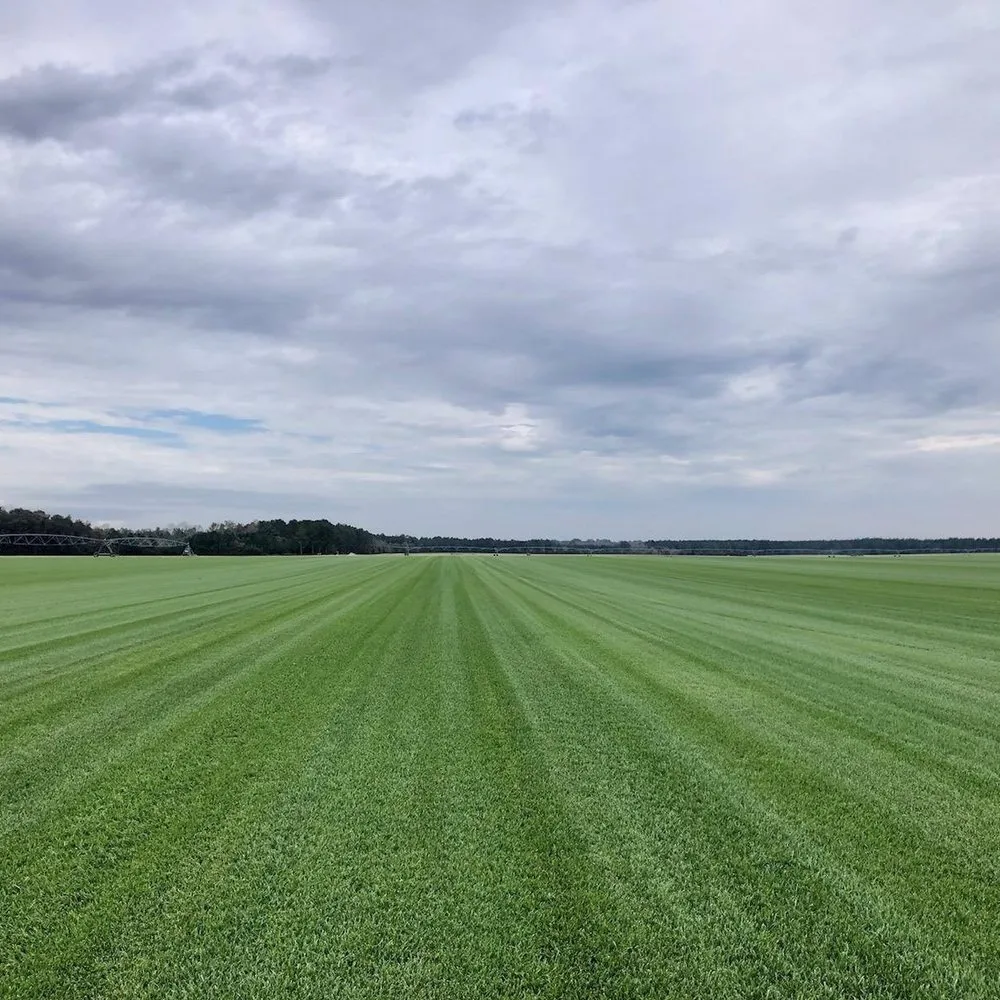 Local outdoor landscaping with custom design in Tulsa, OK by Monarch Turf