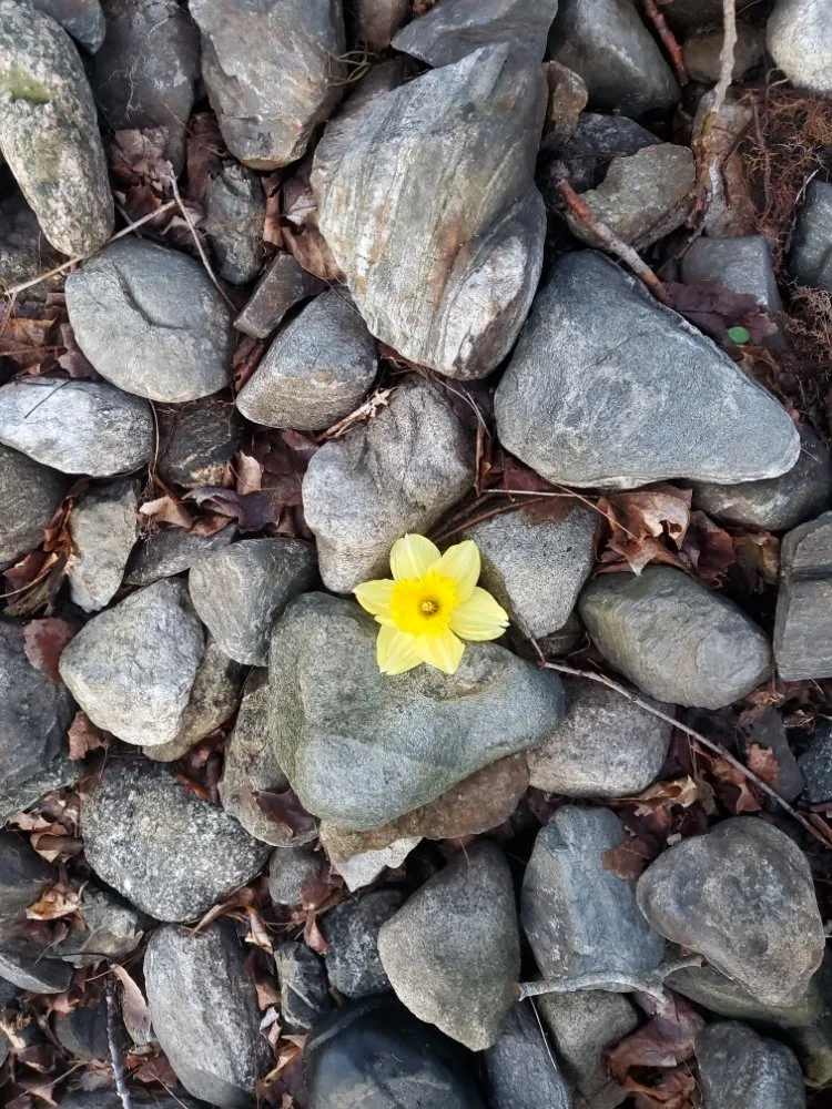 Trusted landscape design experts serving Bethel, CT - Monarda Garden And Landscaping