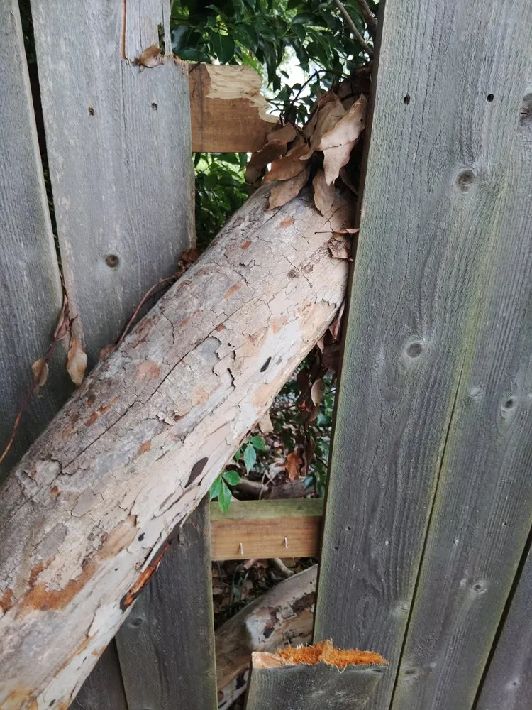 Trusted lawn care service in Lake Charles, LA by Monbelly's Residential and Commercial Management