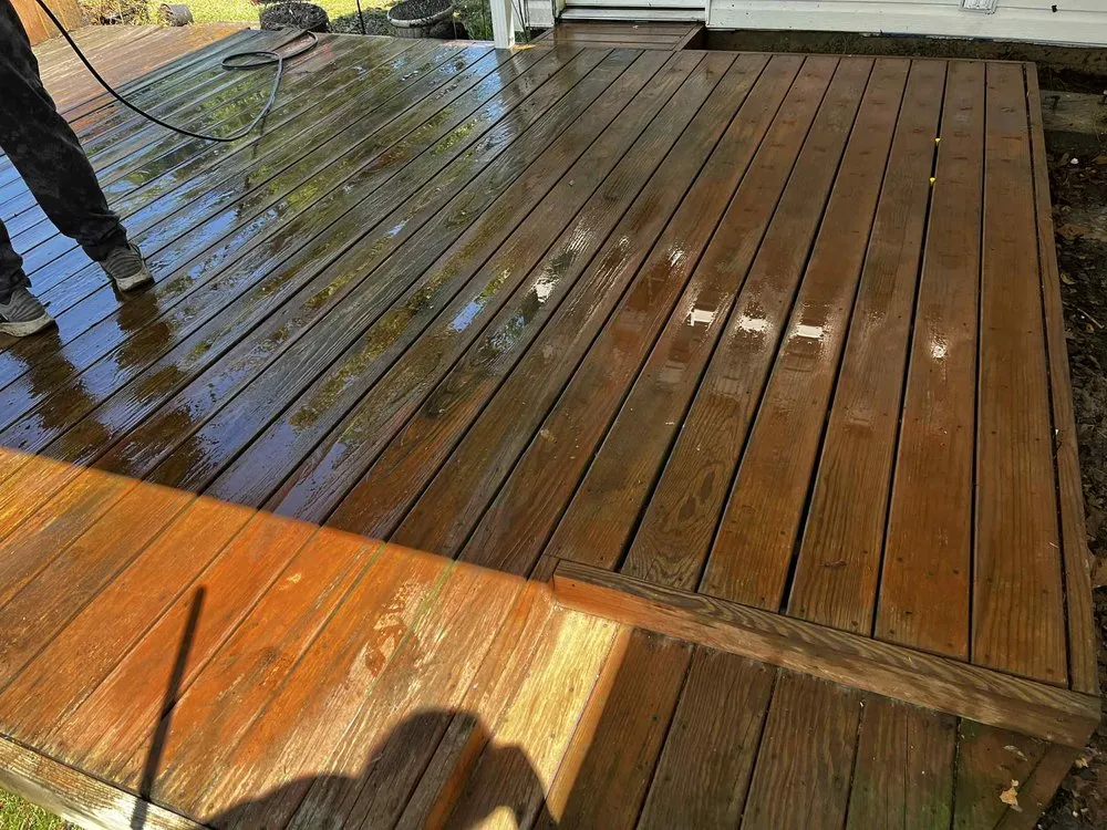 Trusted yard maintenance for residential properties across Lake Charles, LA - Monbelly's Residential and Commercial Management