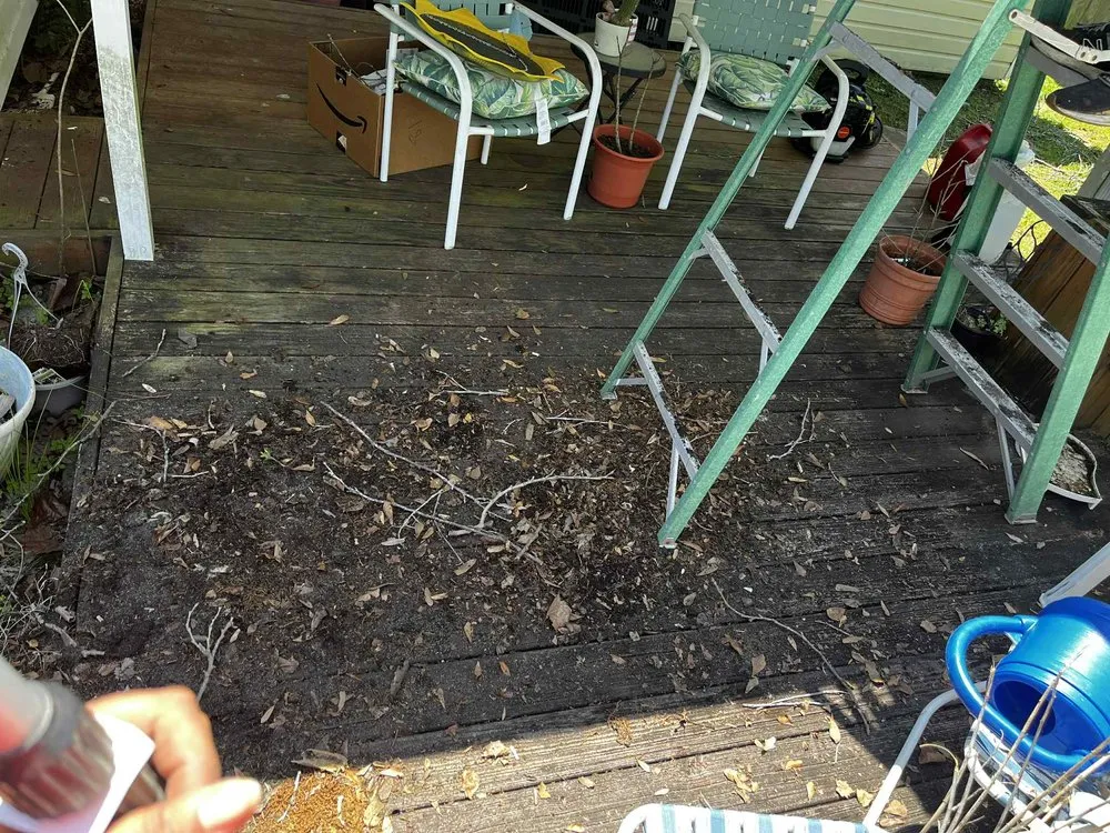 Local lawn mowing service for year-round maintenance in Lake Charles, LA by Monbelly's Residential and Commercial Management