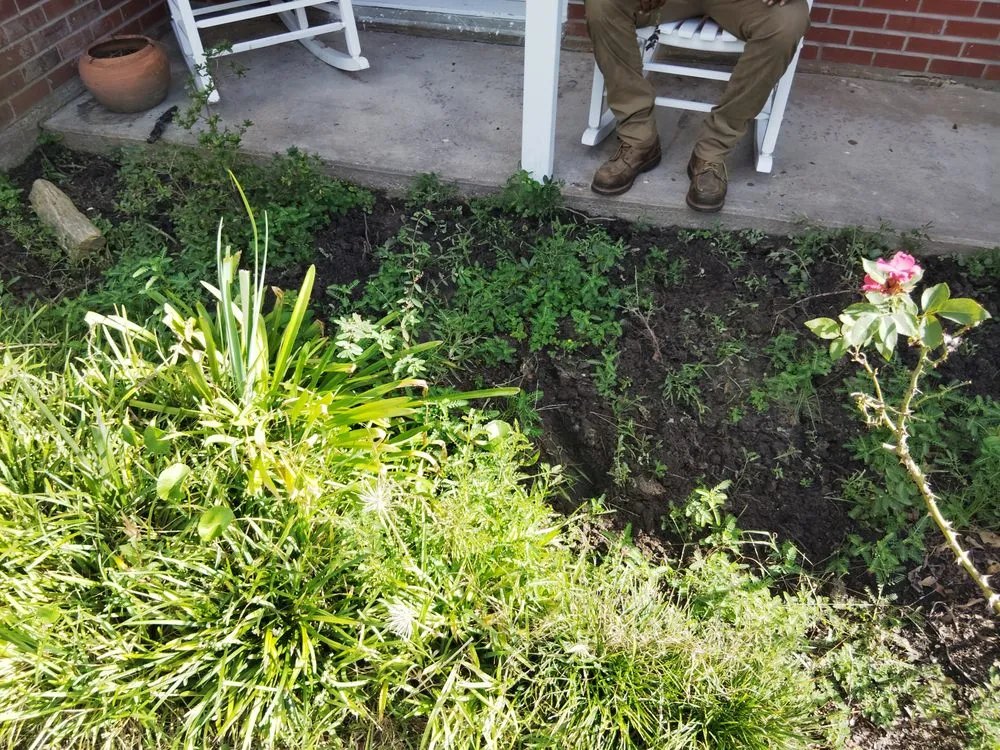 Local landscape design near you in Lake Charles, LA by Monbelly's Residential and Commercial Management