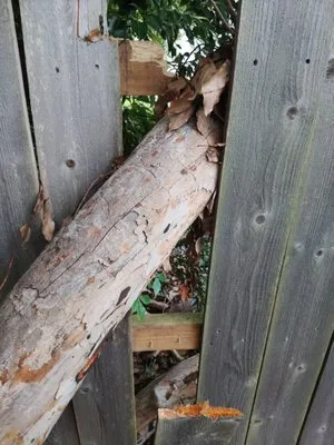 Monbelly's Residential and Commercial Management Logo