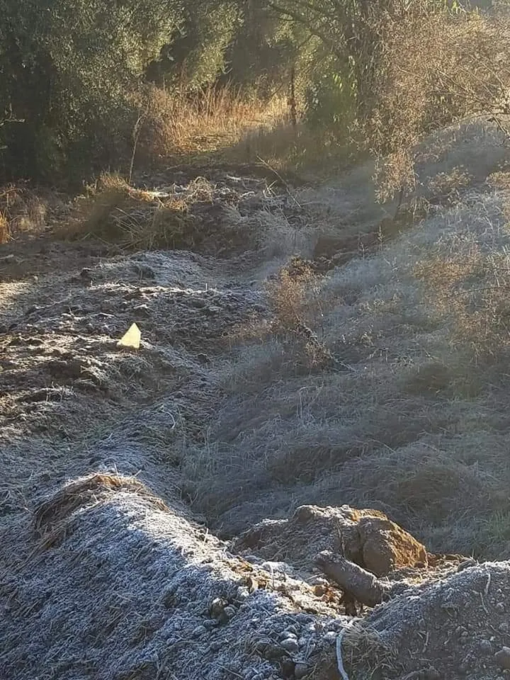 Top-rated garden landscaping in Dinuba, CA by Moncada Lawn Care