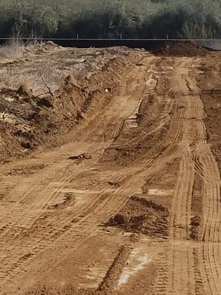 Professional outdoor landscaping experts serving Dinuba, CA - Moncada Lawn Care