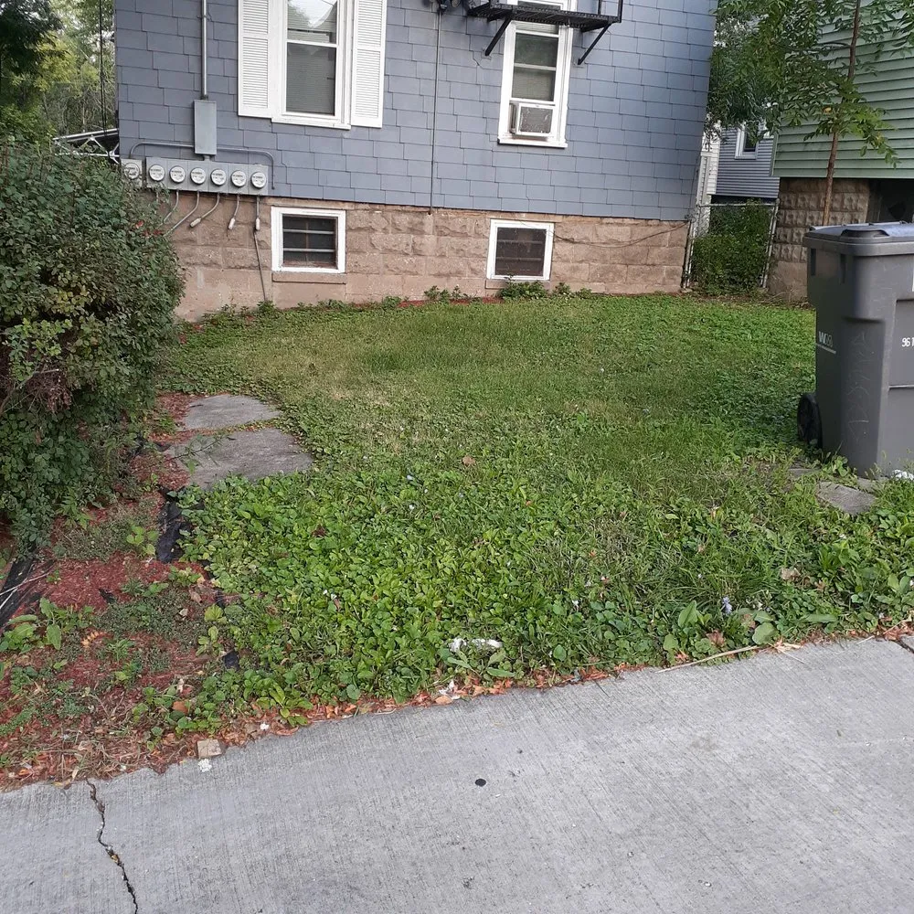 Custom yard maintenance experts serving Milwaukee, WI - Mondo's Full Service Lawn Care