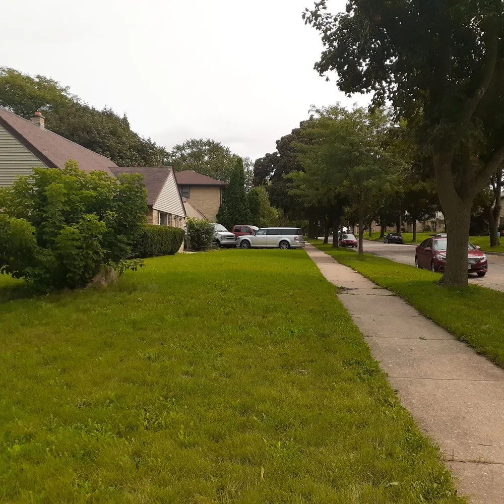 Expert lawn mowing service experts serving Milwaukee, WI - Mondo's Full Service Lawn Care