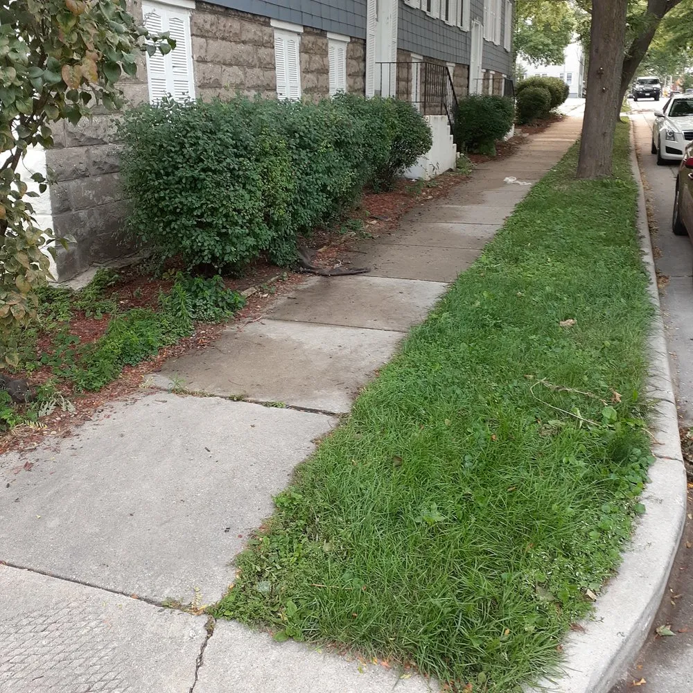 Reliable yard cleanup service in Milwaukee, WI by Mondo's Full Service Lawn Care