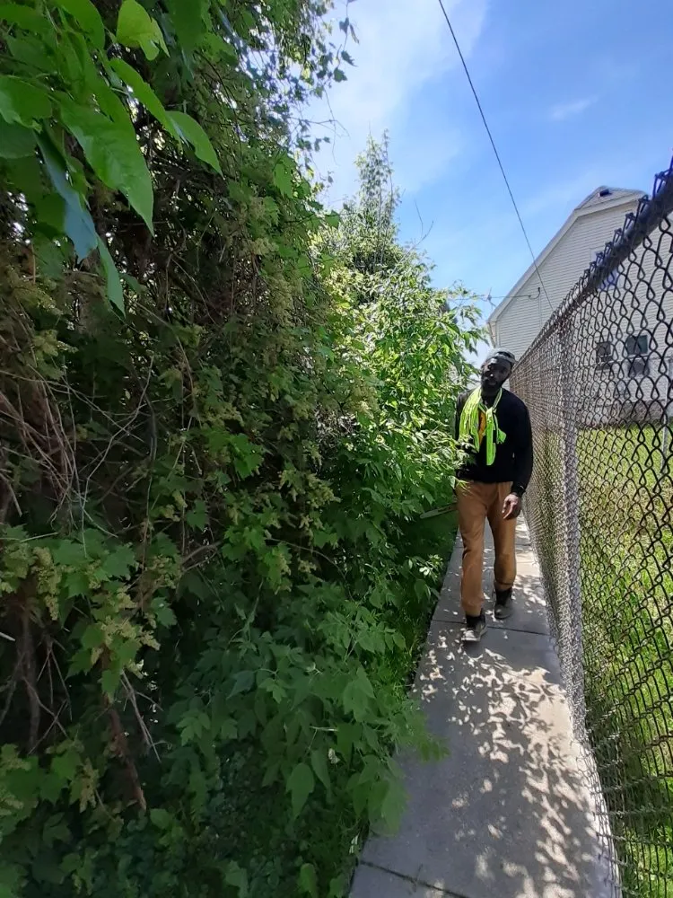 Affordable landscape design for year-round maintenance in Milwaukee, WI by Mondo's Full Service Lawn Care