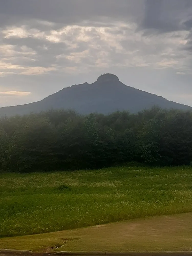 Professional lawn care service in Milwaukee, WI by Mondo's Full Service Lawn Care