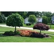 Expert landscaping services in Byhalia, MS by Mondragon Landscape & Gardening