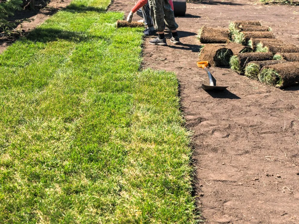 Local yard cleanup service for homes across Cape Girardeau, MO - Mondragon Landscaping & Fencing