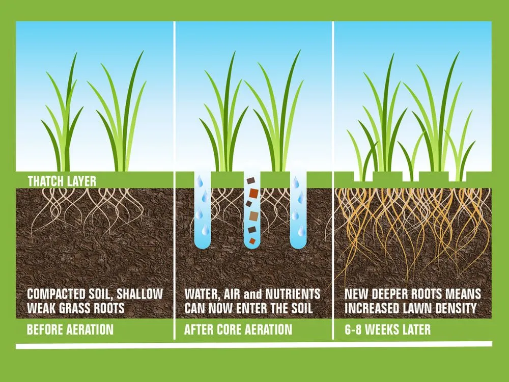 Top-rated lawn mowing service for outdoor upgrades across Cape Girardeau, MO - Mondragon Landscaping & Fencing