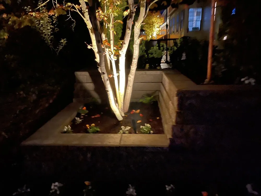 Expert yard cleanup service in Lynnwood, WA - Mondragon Landscaping and Maintenance