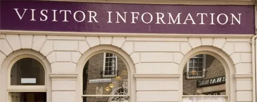 Reliable yard cleanup service for beautiful yards in Lynnwood, WA by Mondragon Landscaping and Maintenance