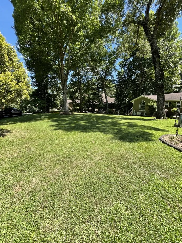 Expert residential landscaping experts serving Gainesville, GA - Mondragon Landscaping and Remodeling