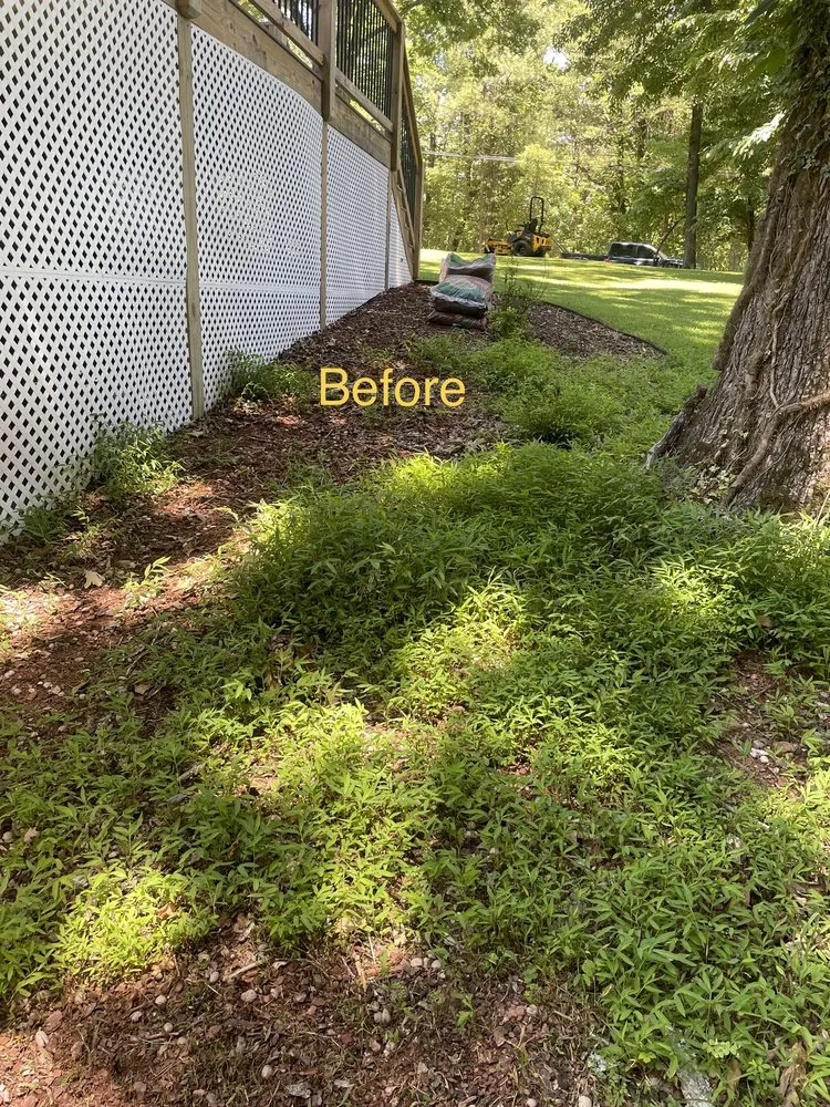 Local landscape design in Gainesville, GA - Mondragon Landscaping and Remodeling