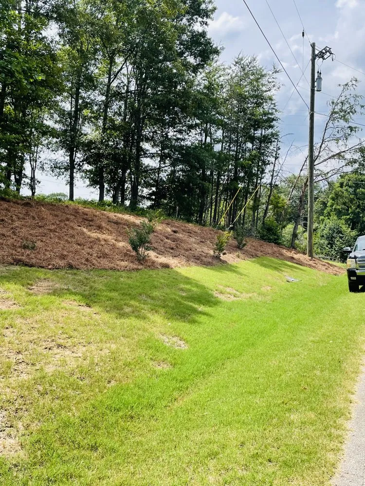 Trusted outdoor landscaping experts serving Gainesville, GA - Mondragon Landscaping and Remodeling