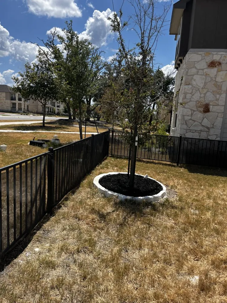 Custom residential landscaping in Dripping Springs, TX by Mondragon Landscaping