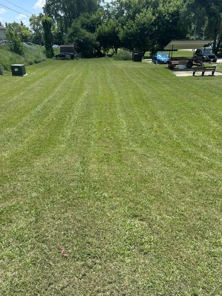 Custom yard cleanup service experts serving Burlington, WI - Mondragon's Landscaping Service