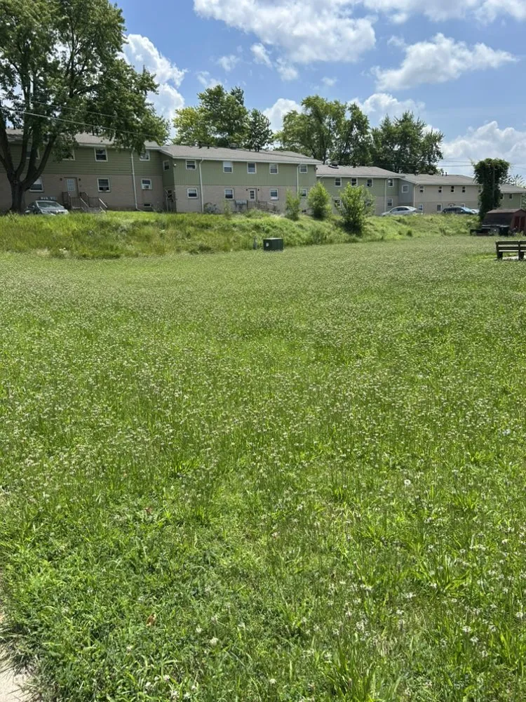 Local landscaping services for beautiful yards across Burlington, WI - Mondragon's Landscaping Service