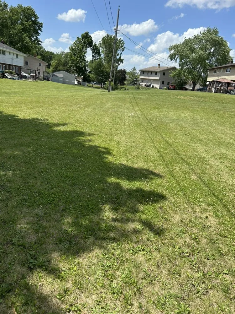 Trusted landscape installation in Burlington, WI by Mondragon's Landscaping Service