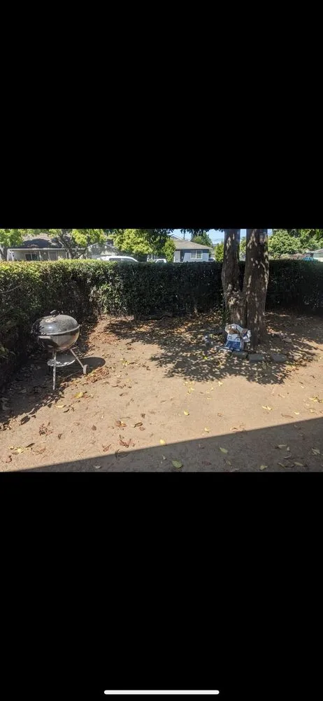 Trusted garden landscaping in San Jose, CA by Mondy's Landscape Maintenance & Handyman Services