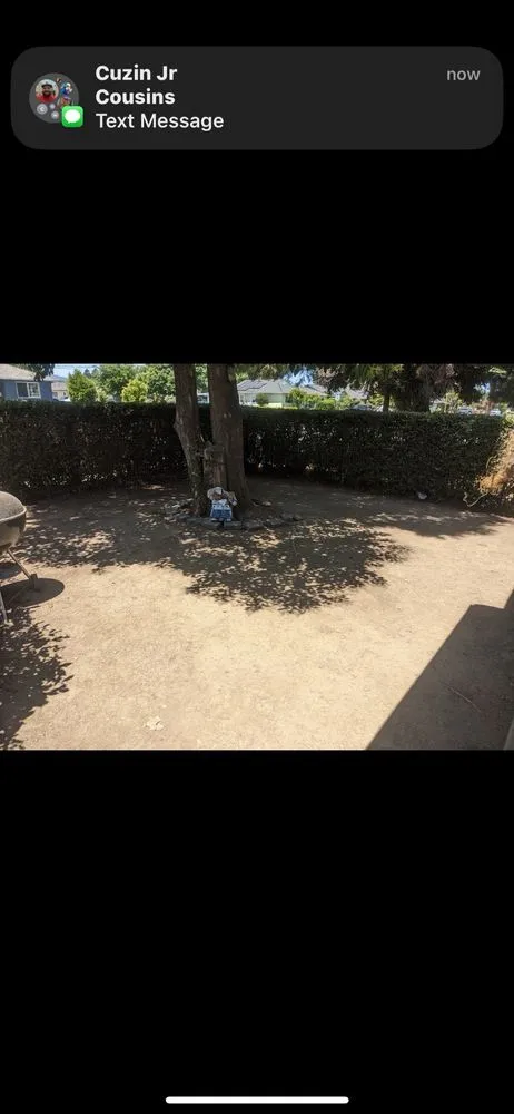 Expert residential landscaping in San Jose, CA by Mondy's Landscape Maintenance & Handyman Services