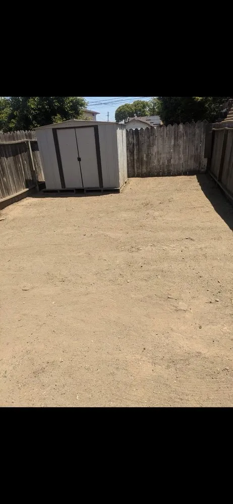 Professional yard cleanup service in San Jose, CA - Mondy's Landscape Maintenance & Handyman Services