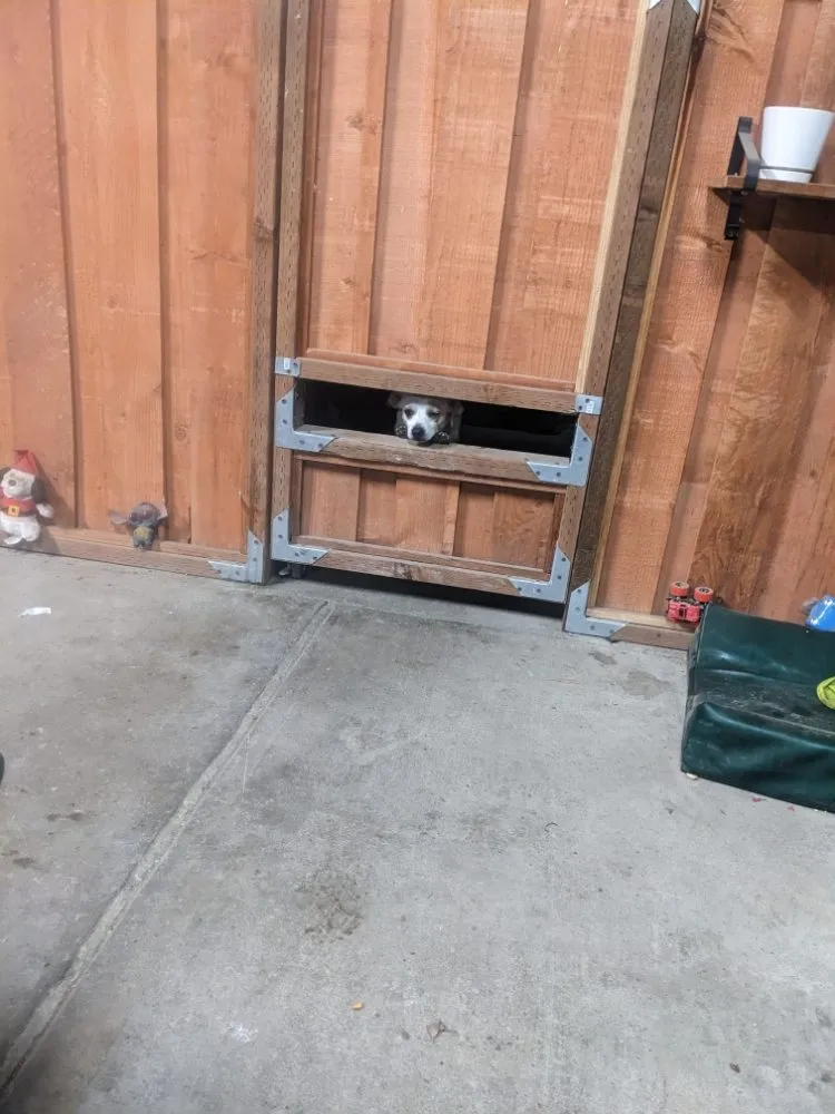 Affordable yard maintenance experts serving San Jose, CA - Mondy's Landscape Maintenance & Handyman Services