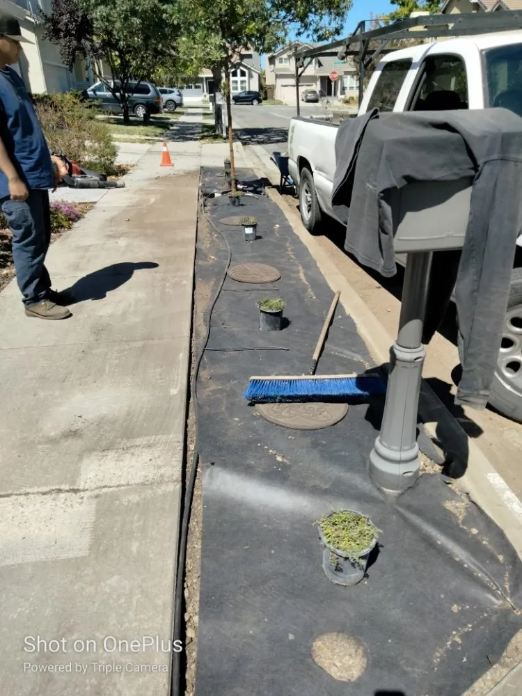 Top-rated lawn care service in San Jose, CA - Mondy's Landscape Maintenance & Handyman Services