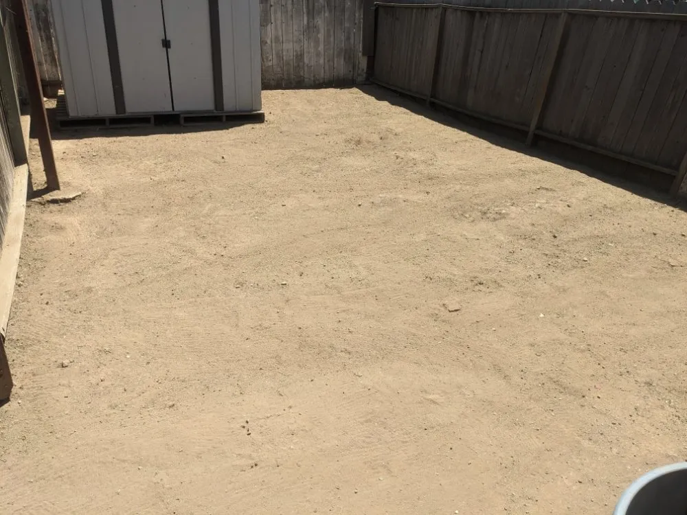 Custom yard cleanup service for beautiful yards across San Jose, CA - Mondy's Landscape Maintenance & Handyman Services