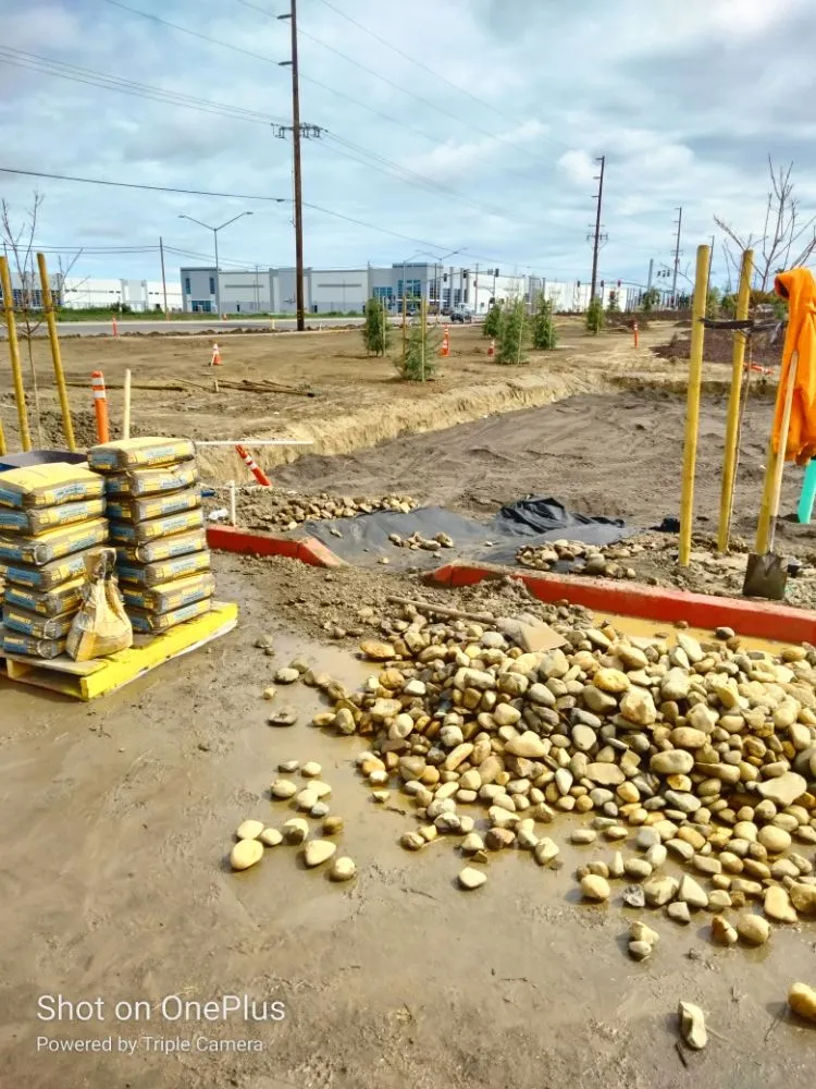 Reliable lawn care service in San Jose, CA - Mondy's Landscape Maintenance & Handyman Services