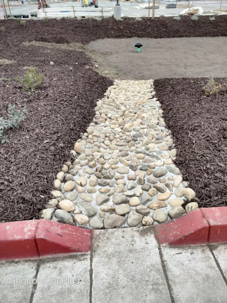 Expert landscape design for beautiful yards across San Jose, CA - Mondy's Landscape Maintenance & Handyman Services