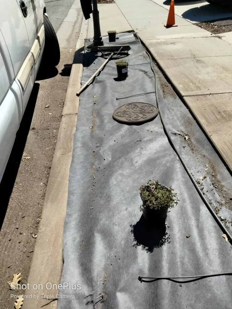 Reliable lawn mowing service experts serving San Jose, CA - Mondy's Landscape Maintenance & Handyman Services