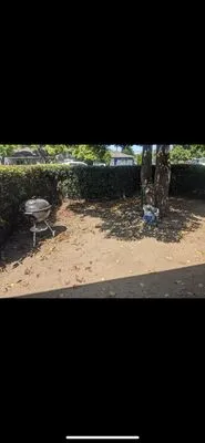 Mondy's Landscape Maintenance & Handyman Services Logo