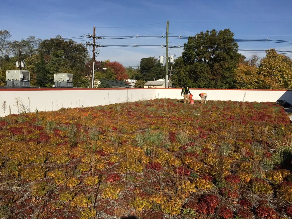 Reliable lawn mowing service in Wayne, NJ by Monello Landscape Industries