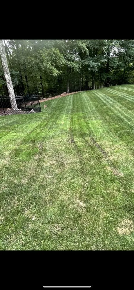 Affordable lawn mowing service in Wayne, NJ by Monello Landscape Industries