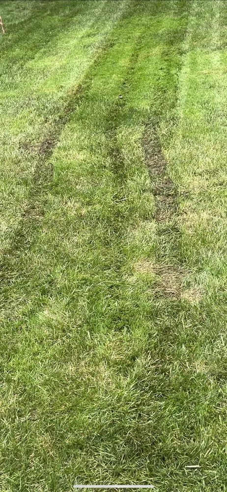 Professional garden landscaping in Wayne, NJ - Monello Landscape Industries