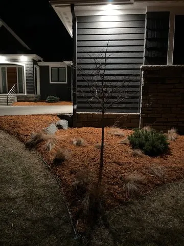 Reliable yard maintenance in Rochester, MN - MoNeve Outdoor Services